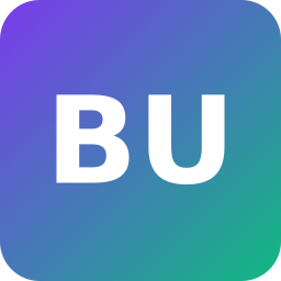 BIRD UX Studio