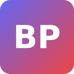 Bergner und Partner GmbH Logo