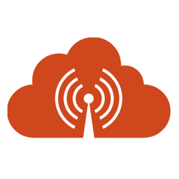 CCX Consulting Logo