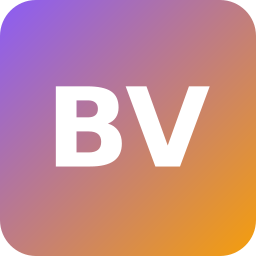 Braun & Voigt Logo