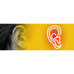 Geiervisuell Logo