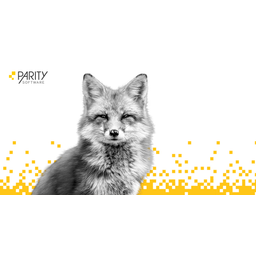 Parity Software Logo