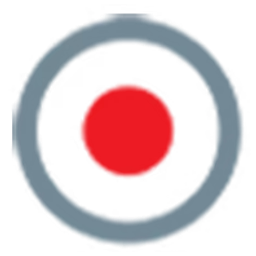 Demolsky IT-Solutions Logo
