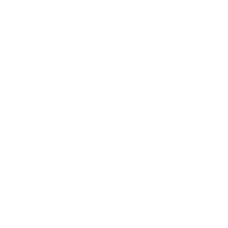Die SEA-Experten
