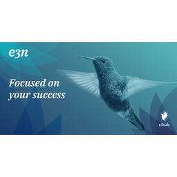 e3n GmbH & Co. KG
