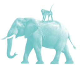 Elephants & Monkeys GmbH