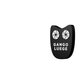 gango luege gmbh