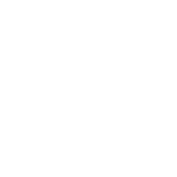 Impulsive Projects – Priyanka Dutta
