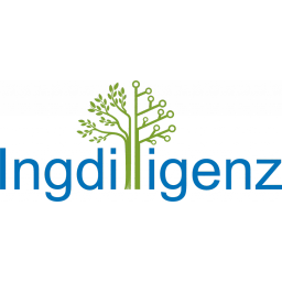 Ingdilligenz GmbH