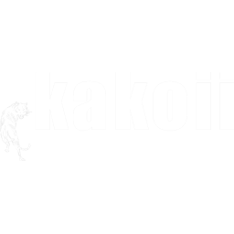Kakoii Berlin Werbeagentur