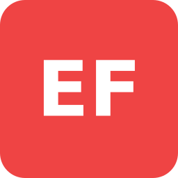 EDV Firma