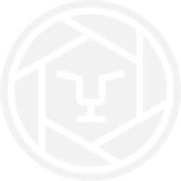 lionsmedia agency