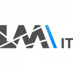 LM IT Services AG