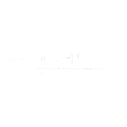 Löwenstark Online Marketing GmbH