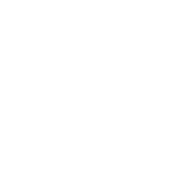 MESSMANN-VERSICHERT
