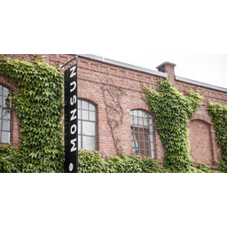 monsun media GmbH