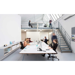 oblik identity design