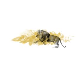ONLION Marketeers AG