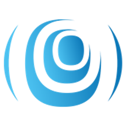 Opalion Software & Web Solutions Logo