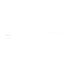R17 Ventures AG