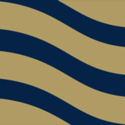 Natterer Group