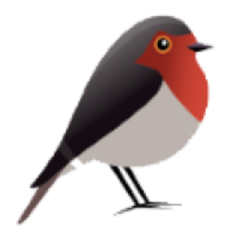 Robin GmbH