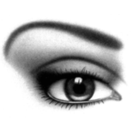 Visual Art Feldes