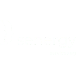 senergy services ag