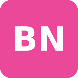 B&W NetworX Logo