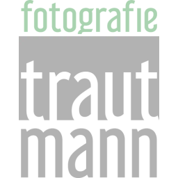 Stefan Trautmann