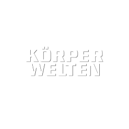 trafficdesign GmbH