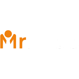 Mr. Web Digital Logo