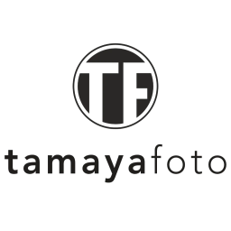 Luis Tamayo Logo