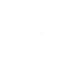 WBS IT-Service GmbH