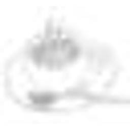 webgenuss GbR