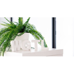 wigital GmbH
