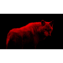 WOLFSRUDEL Kreativagentur GmbH